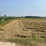 Cần bán 1500 m2 đất lúa mặt tiền đá xanh 6m tại xã nhơn thạnh trung giá: 1.25 tỷ