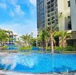 Chính chủ cần cho thuê căn hộ diện tích 50m2 1 phòng ngủ tại dự án charm city