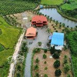 Bán 7000m2 vườn homestay, 300m2 thổ cư, đường bê tông xuân trường, xuân lộc, đn. có nhà gỗ và ao cá