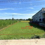 Bán đất full thổ cư 302m2 ấp an hưng xã an ninh đông