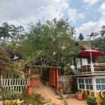 Bán lô đất homestay, đường măng lin p.7, tp. đà lạt (khu ca nhạc-mây lang thang)