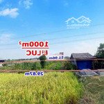 1000m2 đất lúa, đường thông tứ hướng xe 7 chỗ tới đất tại bình lãng