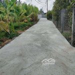 5x25m thổ đan ô tô giá 290tr