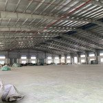 Cho Thuê Kho Xưởng 11500M2 Pccc Tp Tân An .Long An