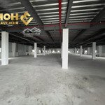 X683. cho thuê xưởng 3000m2 pccc tự động tại hải phòng/ready built factory for lease