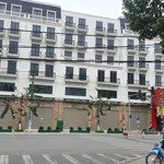 Cặp ngoại giao căn mặt hoàng liên và lê quý đôn cực đẹp hiếm có trên thị trường - shophouse cic