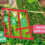 Chủ ngộp ngân hàng bán gấp lô đất 3 sào tại eabhok, cưkiun, daklak