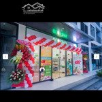 Sang lỗ 300 triệu căn shop origami khối đế đưoc tặng xe vinfast vf5