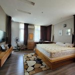 12 Căn Cho Thuê Villa Park 19- 40 Triệu