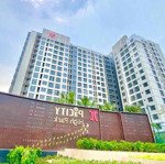 Cho thuê căn hộ chung cư cao cấp 1 phòng ngủ49m2 quận 12 picity high park