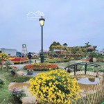 Bán đất làng hoa xuân quan 83,2m2 full thổ cư, view ecopark