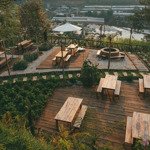 Cho thuê mặt bằng 2000m2 quán nướng, cafe, view rừng thông p11, đà lạt