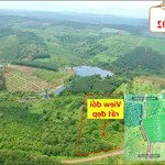 Bán đất tuy đức mặt tiền đường nhựa, trọn sổ 1059m chỉ 318trieu, ko phát sinh thêm đồng nào