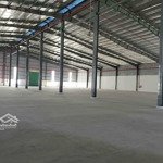 Cho thuê kho 5500m2 đưởng quốc 1a . tp tân an