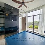 Penthouse ngay trung tâm q1 (nhiều mẫu)