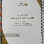 Bán căn hộ studio dự án tms quy nhơn giá bán 1 tỷ 380 triệu