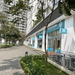 Chính chủ cần bán gấp lô shophouse chân đế park 6 time city 265m 3 lô đập thông 16 tỷ 0988296228