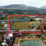 Bán gấp 920m2, đất gần khu công nghiệp minh hưng, gần chợ minh hưng, khu dân cư đại nam