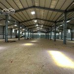 Cho thuê kho 3000m2 trung tâm sầu riêng