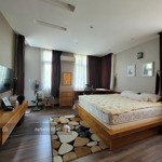 12 căn cho thuê villa park 19 - 40 triệu