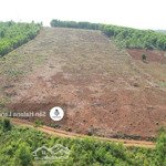 Siêu đẹp - cần bán 7,6ha rsx đất đỏ đẹp như mơ, eatrol, sông hinh, phú yên. chỉ 250 triệu/ha