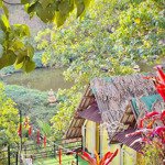 Cho thuê khu homestay đà lạt 2800m2 có vào kinh doanh luôn 40 triệu thương lượng