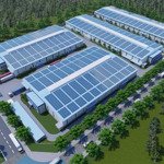 Cho thuê 4 nhà xưởng mỗi xưởng 5000 m2 trong kcn đất đỏ , bà rịa vũng tàu