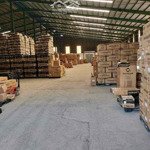 Bán xuởng 1000m2 đuờng bình mỹ xã bình mỹ củ chi