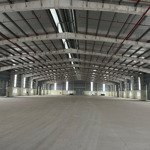 Cho thuê nhà xưởng tại hải phòng diện tích 6500m2, chiều cao hơn 10m- vị trí đẹp, xe công ra vào