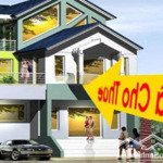 Cho thuê tầng 1 +2 ngõ 84 trần quang diệu