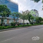 Đất Hiếm Ngay Mp Lạc Long Quân - Xây Building, Văn Phòng, Khách Sạn -Diện Tích100M2 - 5Mmặt Tiềnnhỉnh 16 Tỷ