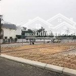 Bán đất thổ cư sổ đỏ chính chủ tại lạc hồng 60m2, giá bán 1,8 tỷ