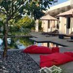 Cẩm thanh view dừa bê tông chính 3m thông - giá bán 33 tỷ - 2221m2 - thích hợp xây resort 30 phòng