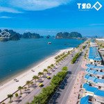 Safabay đất nền ven biển bên bờ vịnh bái tử long _ sổ đỏ trao tay _ giá 33 triệu/m2