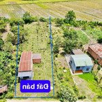 Bán đất tặng nhà dt 1531m2 sẵn 150m2 thổ cư kdc đông đúc view cánh đồng và núi chill giá 6xx