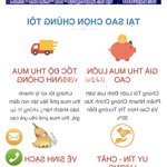 Bán gấp nhà vườn tân an, thủ dầu một, bình dương. dt: 3.329m2 - 14.5t