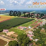 đất nền sổ đỏ tại trung tâm hành chính mới huyện krông năng - đắk lắk