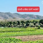 Long mỹ huyện đất đỏ tỉnh bà rịa vũng tàu chuẩn bị lên thị trấn- view núi minh đạm - ra biển phước hải chỉ 3,5km - giá chỉ 750tr/ lô dt 118m2 (6x19,6) sẵn 80m thổ cư