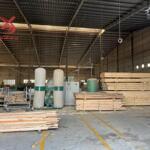 Bán nhà xưởng sản xuất gỗ xuất khẩu trảng bơm đồng nai diện tích 87500m2 giá 245 tỷ