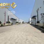 X700. cho thuê kho xưởng khu vực an lão 5000m2 có pccc tự động/ ready built factory for lease