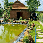 Mua bán đất nền organic nature garden bình phước