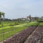 Cần bán đất làng rau trà quế đối diện dự án villa