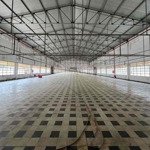 Cho thuê kho xưởng dg dương công khi hóc môn dt 8000m2 320 tr pccctđ