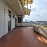 định cư nước ngoài cần bán nhanh căn hộ penthouse park view phú mỹ hưng dt 266m2 giá 11 tỷ