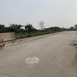 Lk2-4 đấu giá tổ 3 quang minh mê linh sầm uất giá rẻ