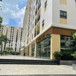 Cho thuê shophouse chung cư 100m2 giá bán 25 triệuiệu