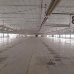 Cho thuê kho xưởng dg dương công khi hóc môndiện tích10.000 m2 xưởng 7000 m2 pccc, văn phòng 300m2 420 triệu