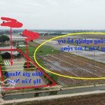 1,5 tỷ đấu giá mang hạ, duy tiên, hà nam. 2 mặt đường oto. sát cạnh knc đồng văn 3, 138m2 mt 6m