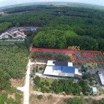 3400m2 đất có thổ cư ngay khu công nghiệp minh hưng 3 giá 950tr