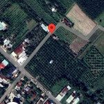 Bán đất lớn trường hoà homestay, làm kho, xưởng, phân lô giá đầu tư